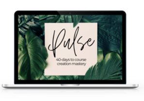 Michelle Brea Pulse 40 days to course creation mastery